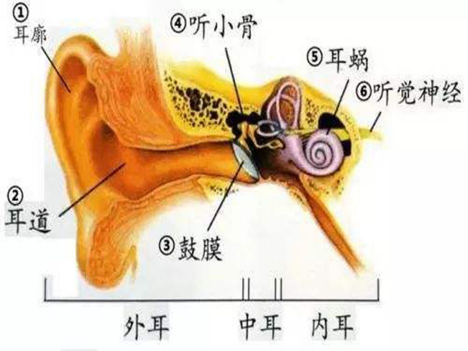 耳道堵塞 耳道堵塞