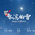 爾濱的雪 爾濱的雪