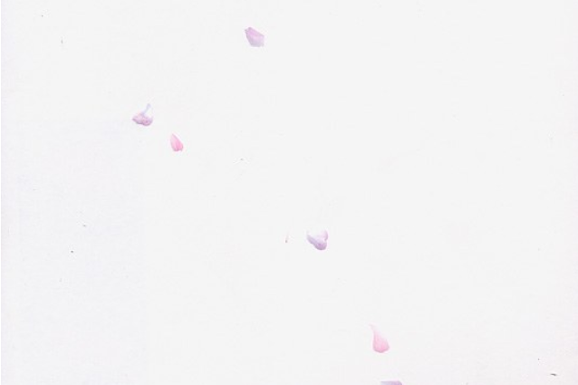花間有眠 花間有眠