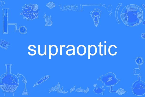 supraoptic supraoptic