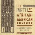 The Birth of African-American Culture The Birth of African-American Culture