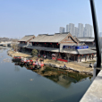 明倫島