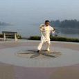 忽雷太極拳(一種中國傳統武術)