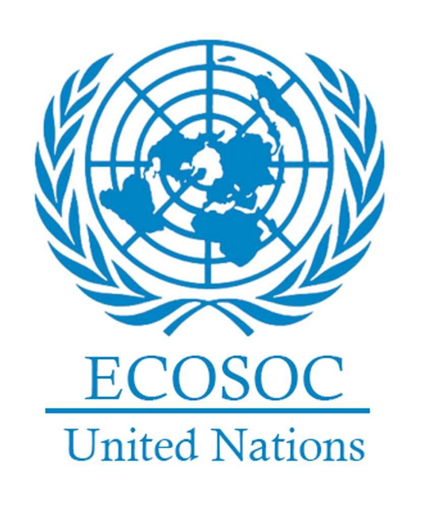 聯合國經濟及社會理事會(聯合國經濟和社會理事會)