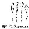 變形現象