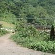南沙河村(雲南省西雙版納勐臘縣勐臘鎮下轄村) 南沙河村(雲南省西雙版納勐臘縣勐臘鎮下轄村)