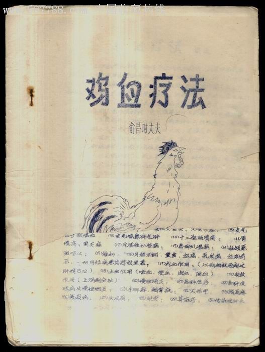 雞血療法 雞血療法