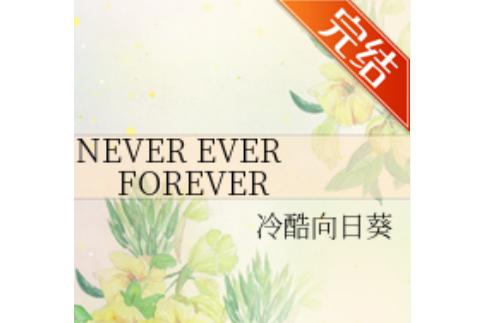 NEVER EVER FOREVER NEVER EVER FOREVER