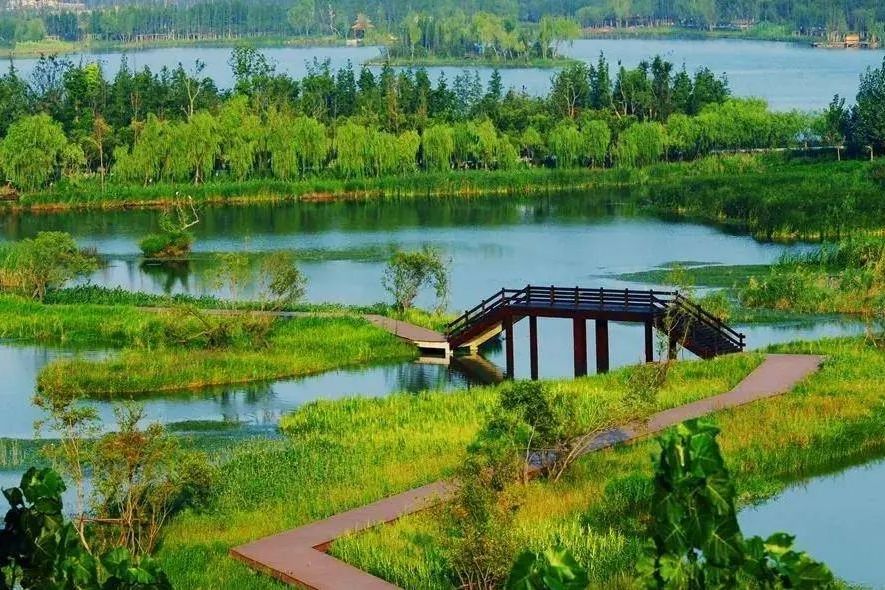 江蘇微山湖湖濱省級濕地公園