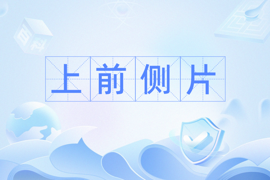 上前側片 上前側片