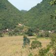 五家寨村(雲南省文山州硯山縣阿猛鎮五家寨村) 五家寨村(雲南省文山州硯山縣阿猛鎮五家寨村)