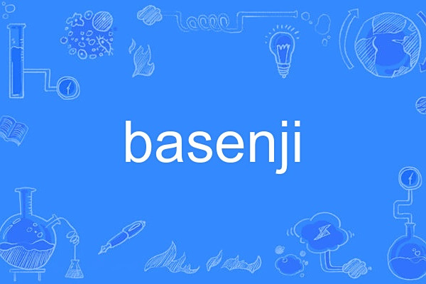 basenji basenji