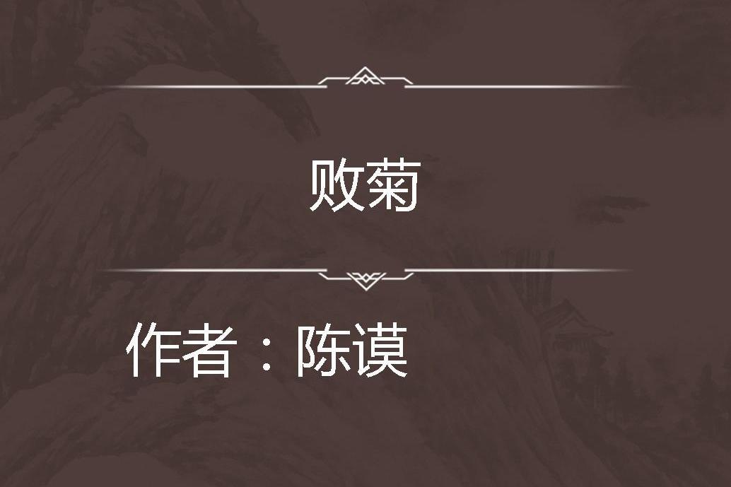 敗菊 敗菊