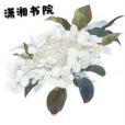 再見宋槐安