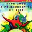 True Love Is Friendship Set On Fire True Love Is Friendship Set On Fire