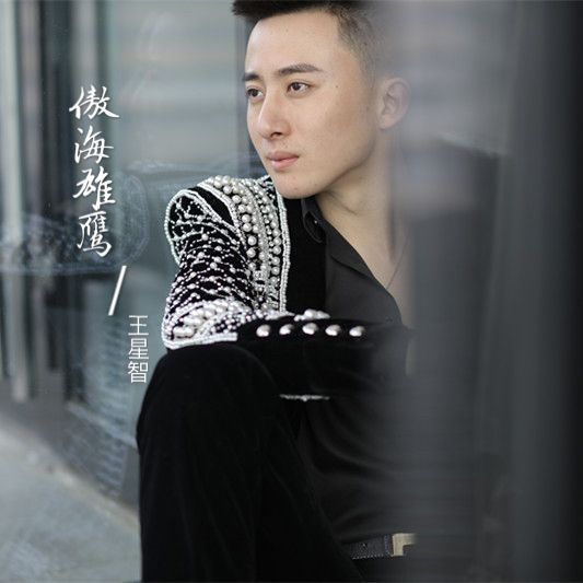 傲海雄鷹 傲海雄鷹