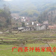 茶坪村(廣西資源縣梅溪鄉茶坪村) 茶坪村(廣西資源縣梅溪鄉茶坪村)