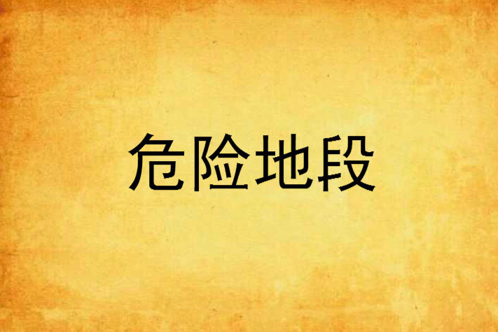 危險地段(驚悚小說《危險地段》) 危險地段(驚悚小說《危險地段》)