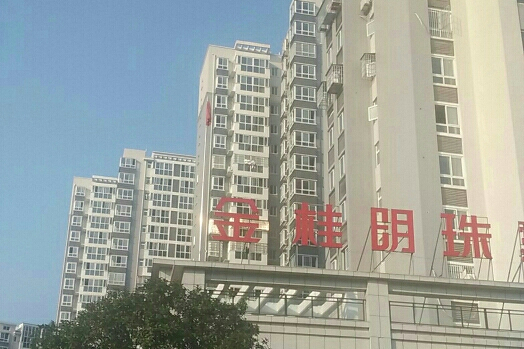 金桂明珠 金桂明珠