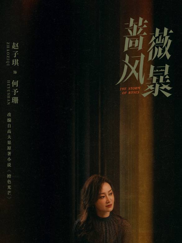 薔薇風暴(2024年惠楷棟執導的職場劇)