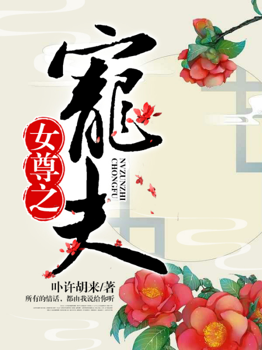 女尊之寵夫 女尊之寵夫