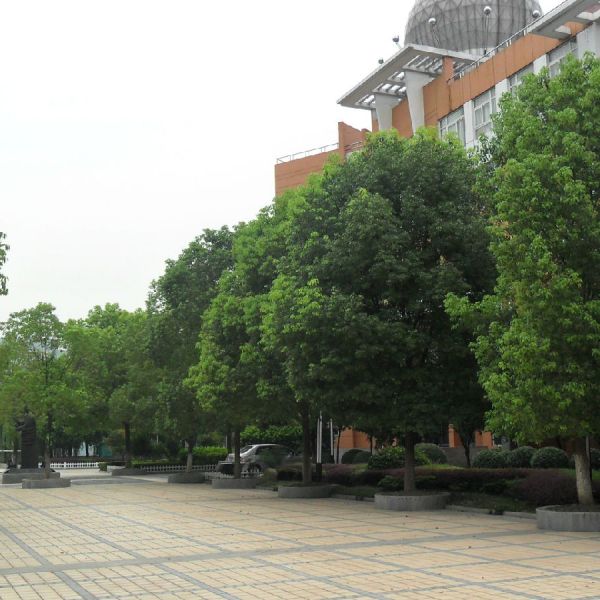 江蘇省姜堰第二中學(姜堰二中) 江蘇省姜堰第二中學(姜堰二中)