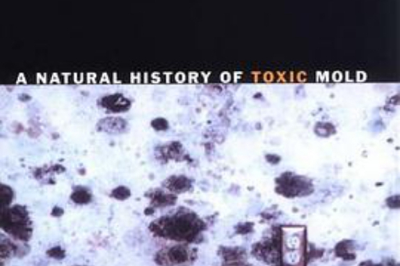 Carpet Monsters and Killer Spores Carpet Monsters and Killer Spores