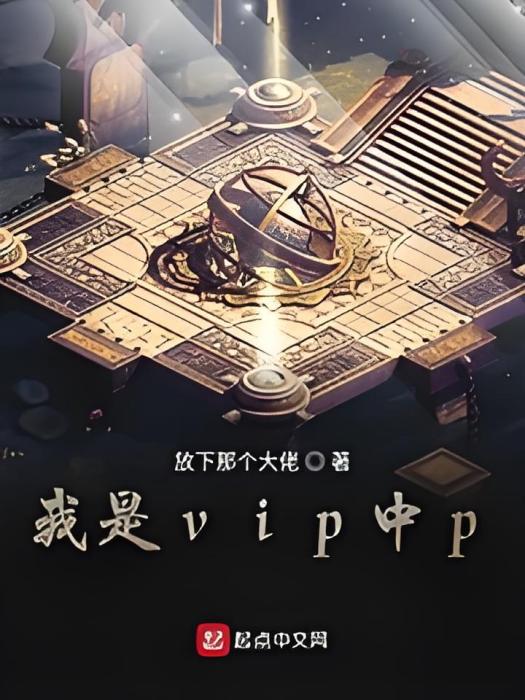 我是vip中p 我是vip中p