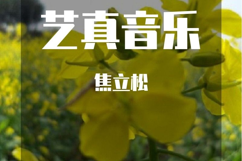 焦立松(歌曲) 焦立松(歌曲)