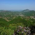 大佛山(豫皖交界處大別山北麓的生態旅遊風景區) 大佛山(豫皖交界處大別山北麓的生態旅遊風景區)