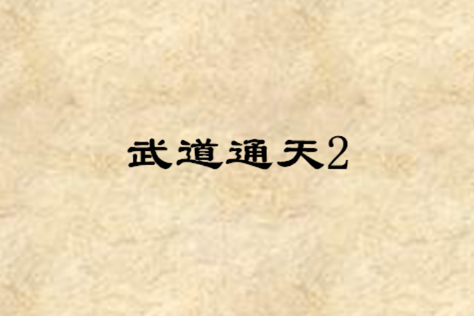 武道通天2 武道通天2