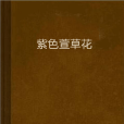 紫色萱草花 紫色萱草花