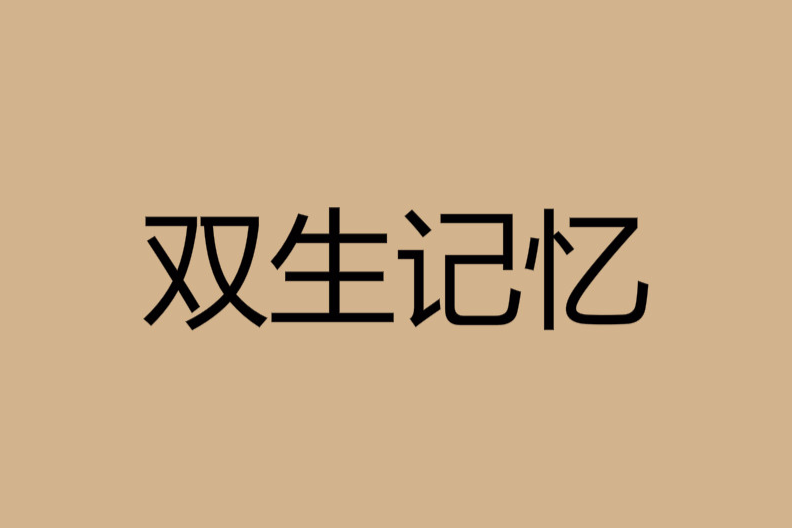雙生記憶 雙生記憶