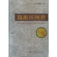 微循環圖譜 微循環圖譜