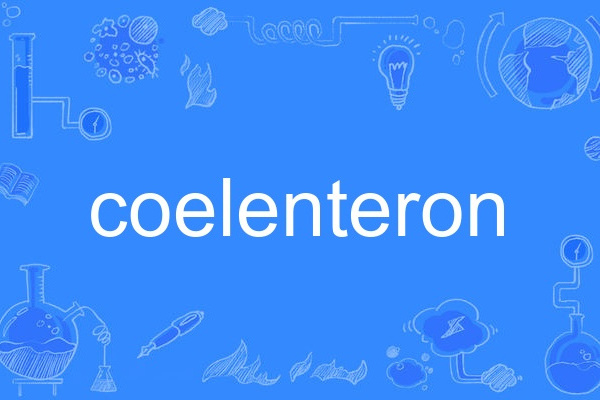 coelenteron coelenteron