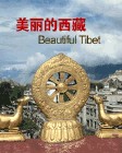 西藏拉薩經濟技術開發區