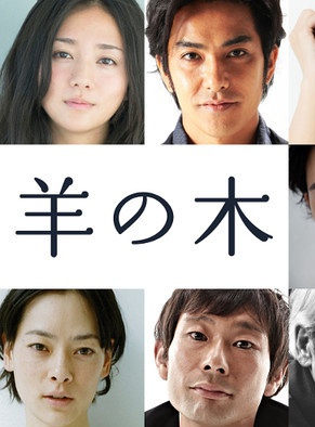 木村文乃 木村文乃