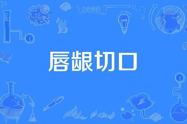 唇齦切口 唇齦切口