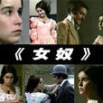 女奴(2004年播映巴西電視連續劇) 女奴(2004年播映巴西電視連續劇)