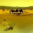 天機法則 天機法則