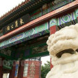 東麗公園 東麗公園