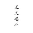 王文思羽 王文思羽