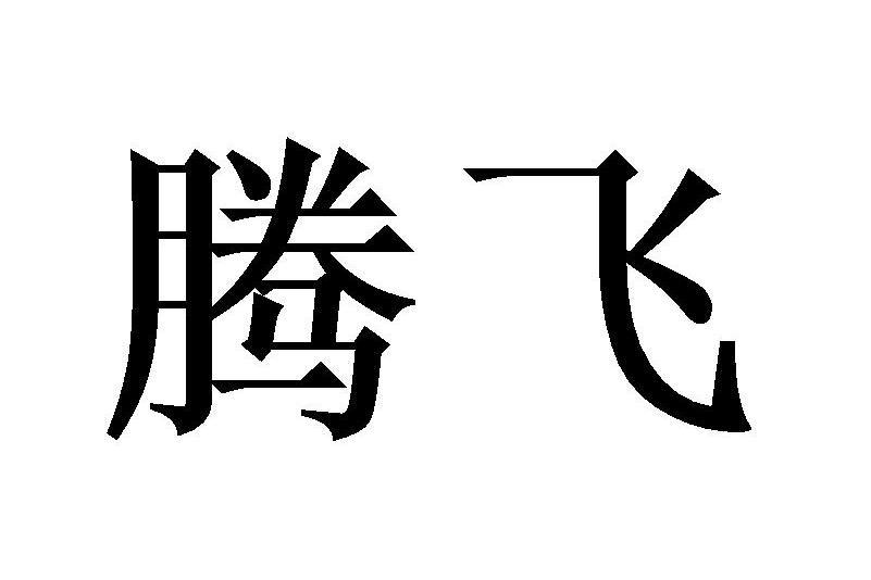 騰飛(品牌) 騰飛(品牌)