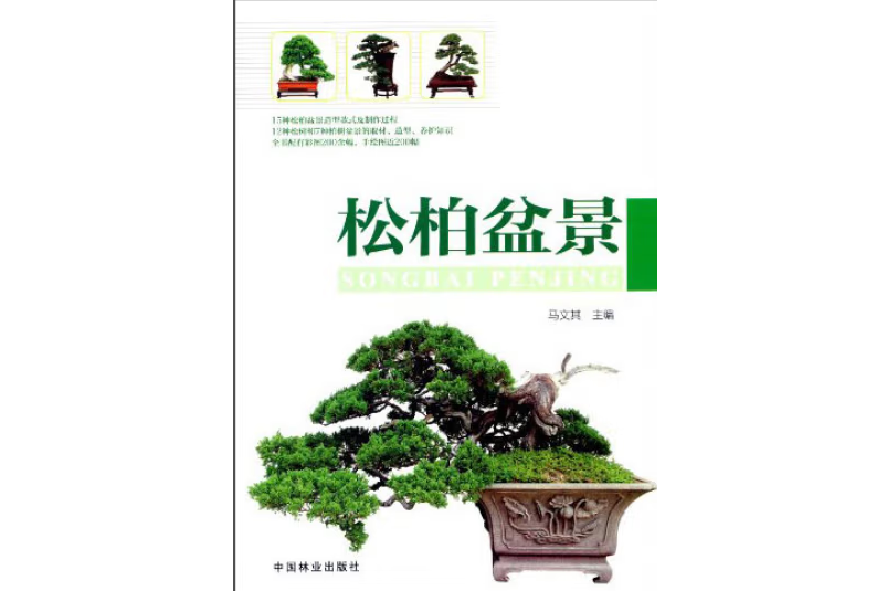 松柏盆景(2014年中國林業出版社出版的圖書) 松柏盆景(2014年中國林業出版社出版的圖書)