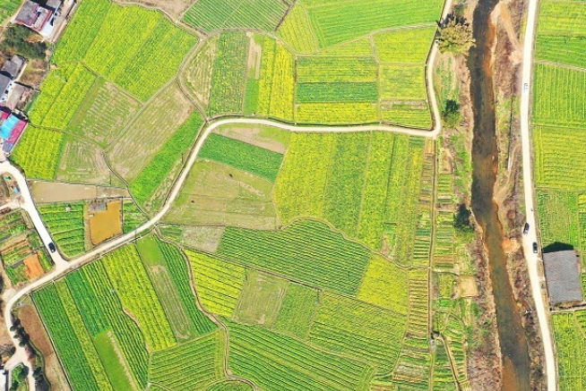 茂塅村 茂塅村