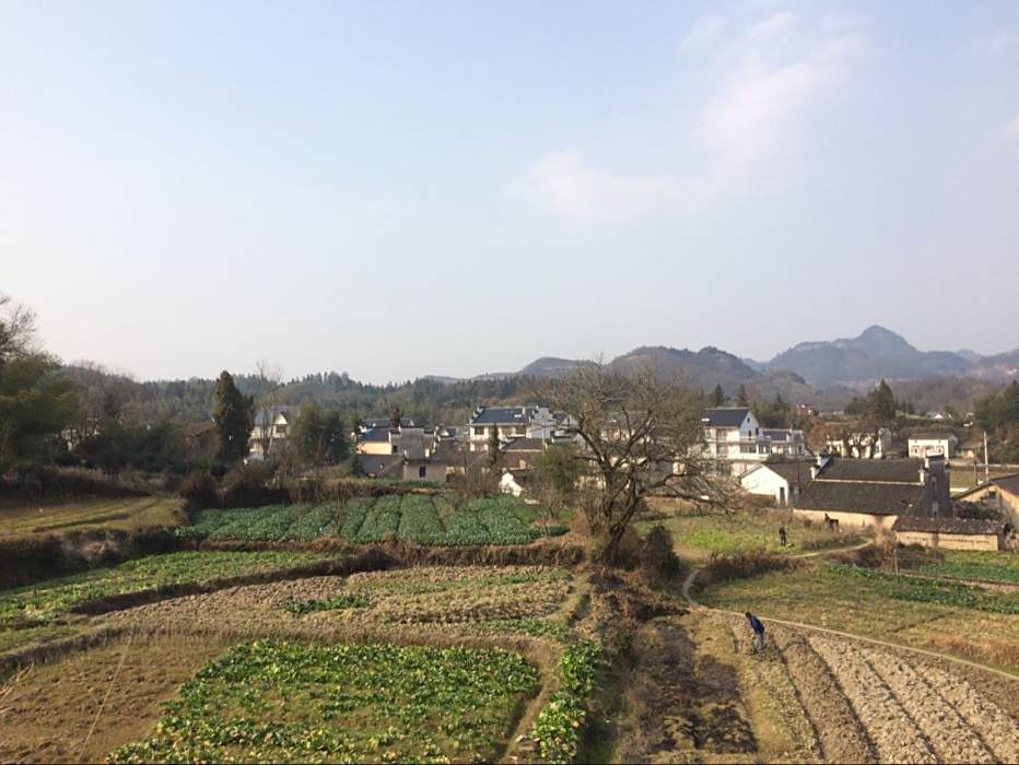 倪湖村 倪湖村