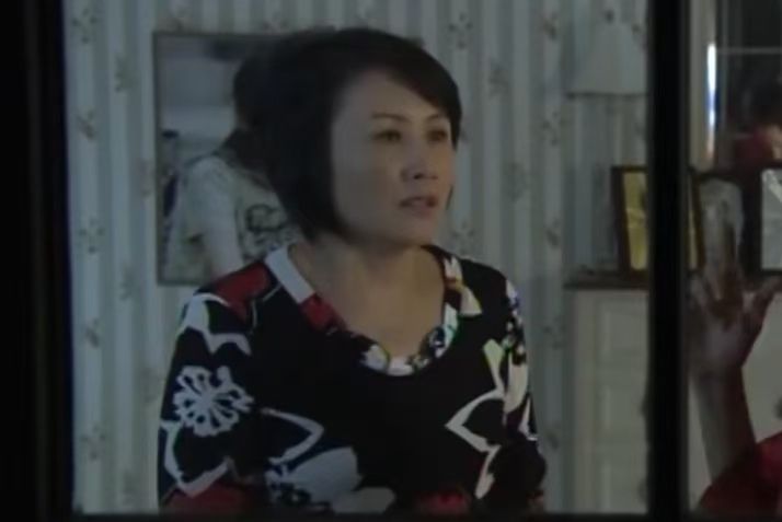 羅英(家庭生活劇《保姆媽媽》中的角色) 羅英(家庭生活劇《保姆媽媽》中的角色)