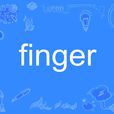 Finger(英語單詞)