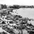 展海令 展海令