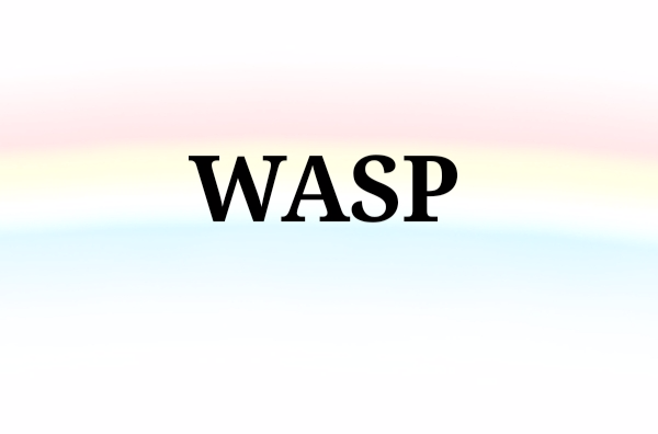 WASP(美國白人新教徒)